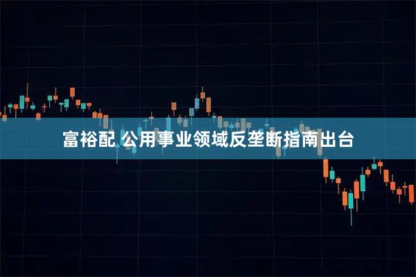 富裕配 公用事业领域反垄断指南出台