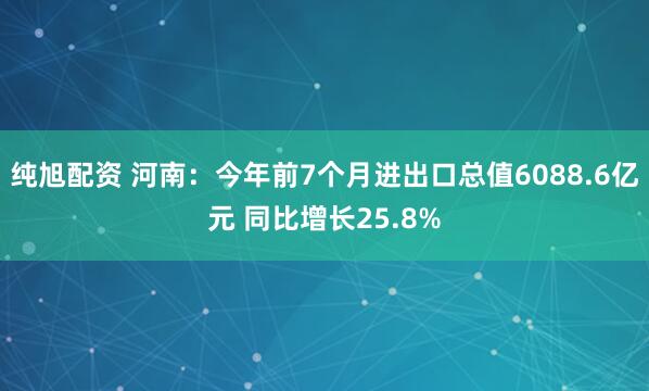 纯旭配资 河南：今年前7个月进出口总值6088.6亿元 同比增长25.8%
